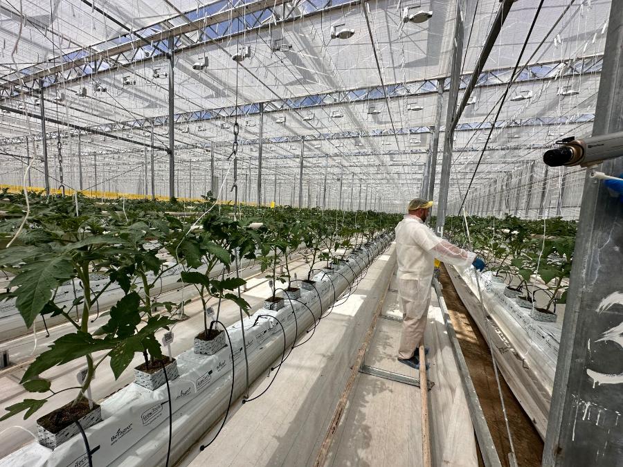 ДГТУ решает актуальную задачу повышения эффективности аграрного производства в России