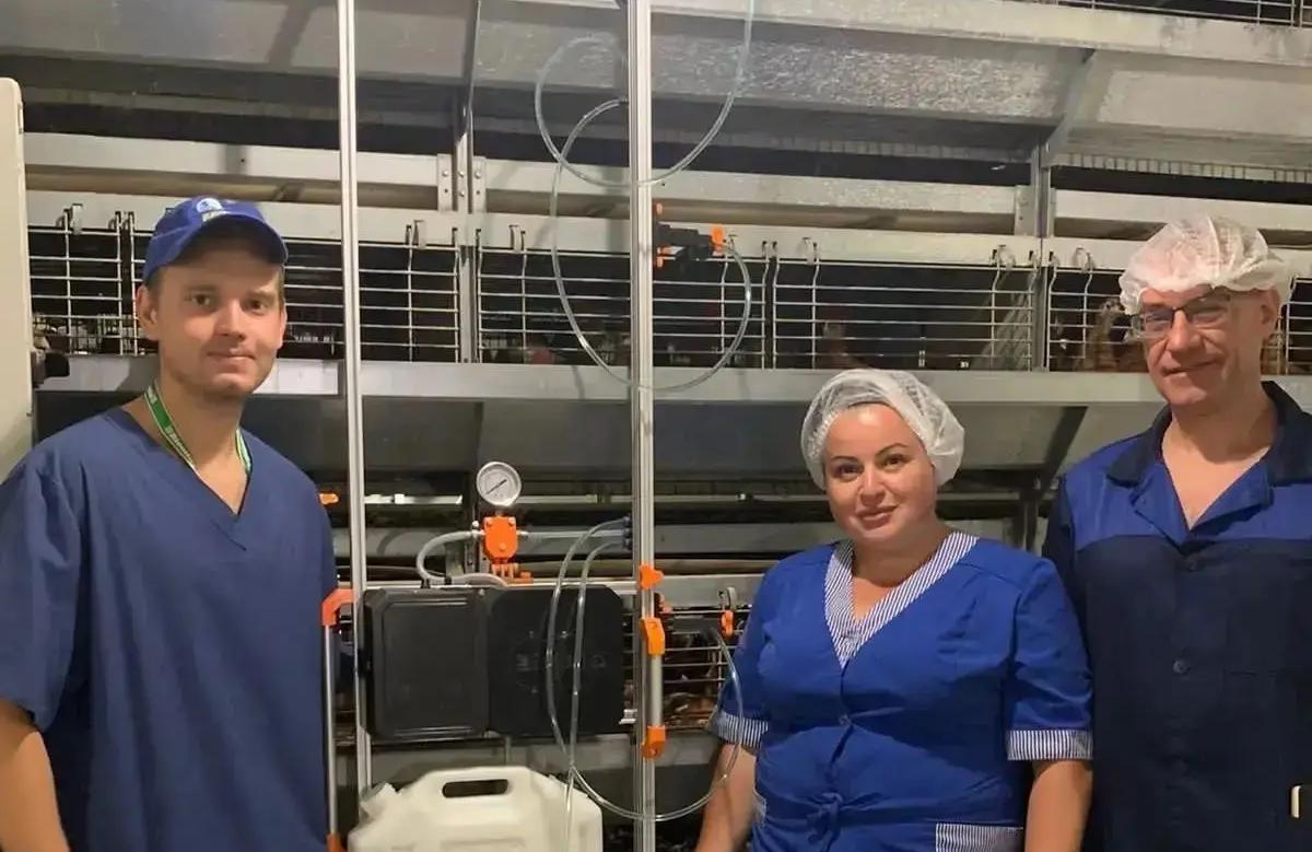 Ученые ДГТУ нашли способ повысить эффективность инкубации птицы