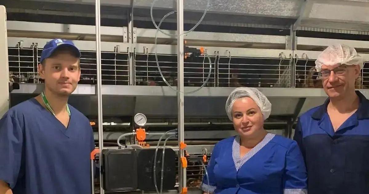 Ученые ДГТУ нашли способ повысить эффективность инкубации птицы