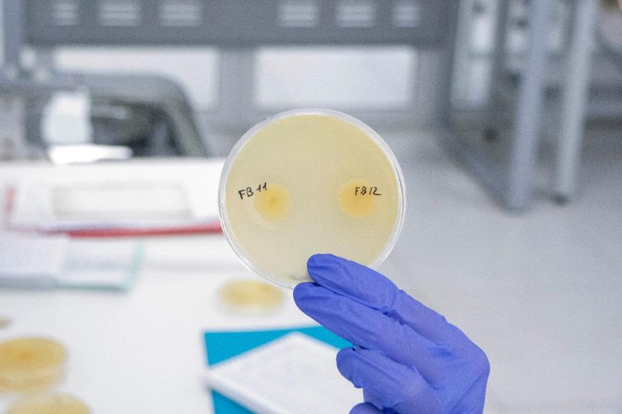 Ученые ДГТУ создают уникальные корма с пробиотиками для выращивания раков и креветок