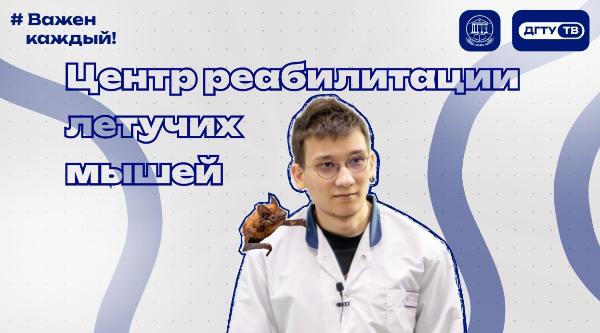 Центр реабилитации летучих мышей ДГТУ