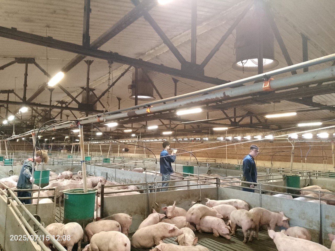 Студенты ДГТУ разработали систему раннего выявления болезней у животных