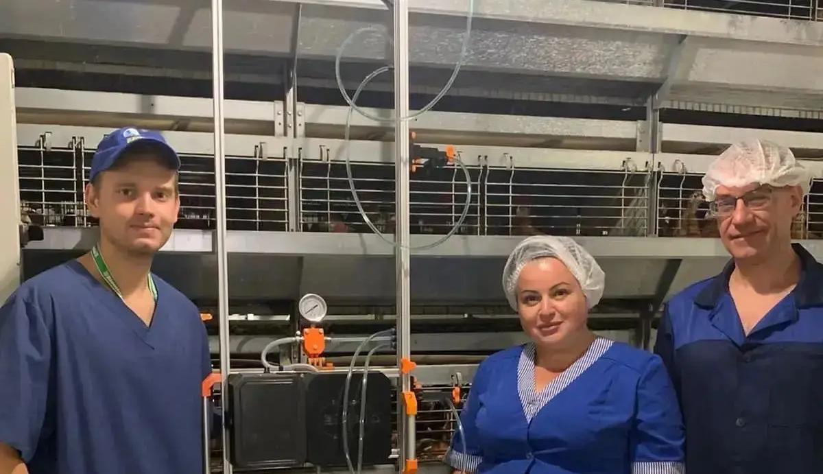 Ученые ДГТУ нашли способ повысить эффективность инкубации птицы